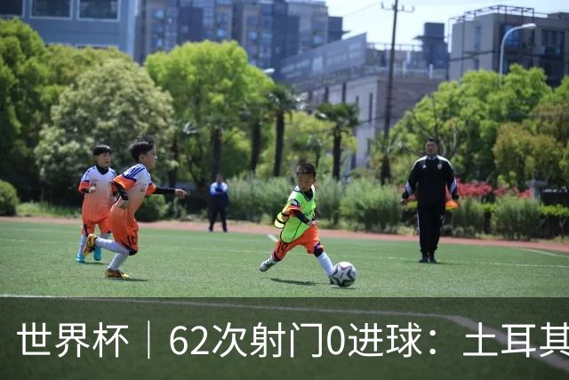 世界杯｜62次射门0进球：土耳其队缘何“数据碾压”却出局