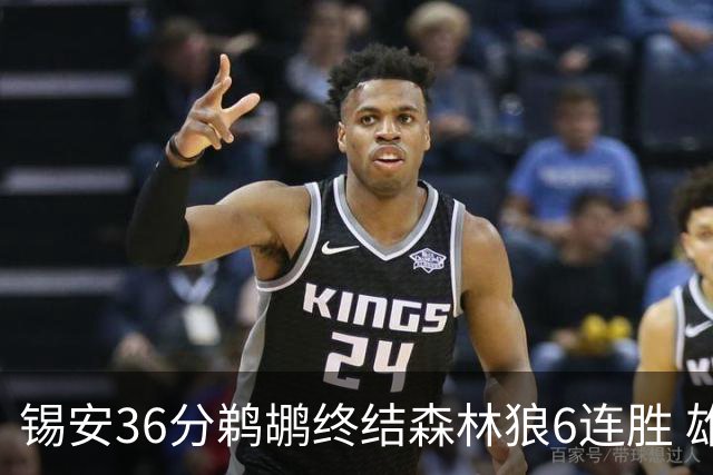 锡安36分鹈鹕终结森林狼6连胜 雄鹿险胜公牛